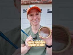 LISTEN TO ALL THESE TURKEY CALLS!