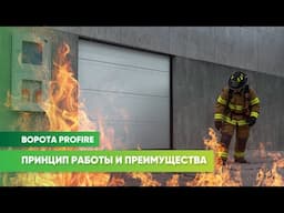 Противопожарные секционные ворота ProFire от «АЛЮТЕХ»: принцип действия и преимущества
