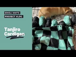Tanjiro Cardigan VLOG