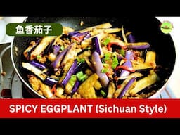 Spicy Garlic Eggplant Recipe with Yu Xiang Flavor 鱼香茄子
