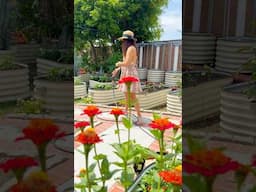 The Joy of  Backyard Garden!