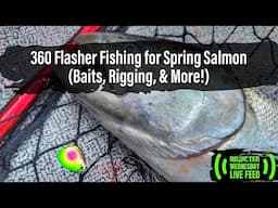 360 Flasher Fishing For Spring Salmon (Baits, Rigging, & More!)