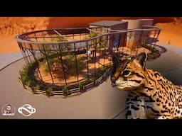 Building A Big Cat Habitat In Planet Zoo - Ocelot Enclosure
