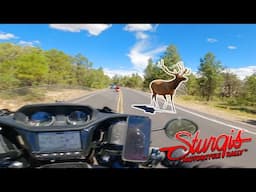 Indian Pursuit vs Elk!! | Road to Sturgis 2022 | Day 2