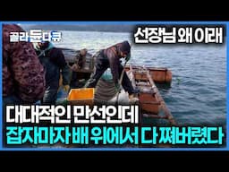 마지막 그물 잡자마자 묵직한 게 아 이거다 싶었다, 오랜만에 배 한가득 만선 멸치 잡이｜극한직업｜#골라듄다큐