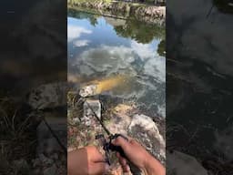 Cast to Hookup!