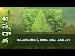 Benefits of intercropping | ETV
