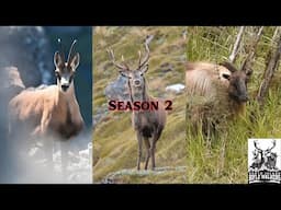 11 Huge Backcountry Hunts in New Zealand's Wilderness | South Island Rifle Walkers Season 2