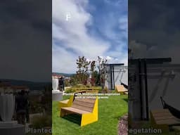 Rooftop opens to the public at The Social Hub Florence Belfiore