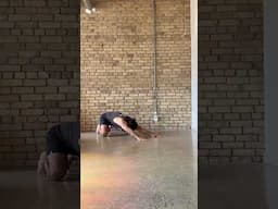 Looking for a quick beginner Flow to practice? Follow along with #AnimalFlow Master Instructor Rosh!