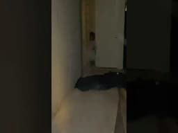 PART 2 SECRET ROOM