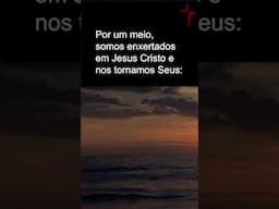 Paz com Jesus e luta contra o pecado // John Piper