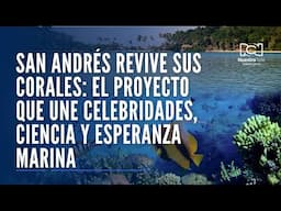 San Andrés revive sus corales: el proyecto que une celebridades, ciencia y esperanza marina