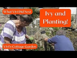Vivi's Cottage Garden: Ivy & Planting!