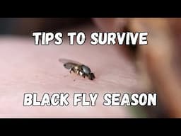 How to Survive Maine's Blackfly Season | Off Grid Living in Maine