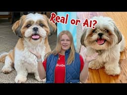 Assistant Challenges Mrs Engineer To Spot the AI Fake Funny Animal Videos