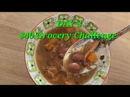 DAY 3 - $40 Grocery Budget Challenge for 2 #NovaScotia #FrugalLiving #GroceryChallenge