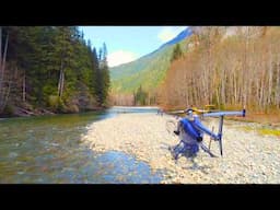 Unforgettable B.C. Wilderness, Fly Fishing for Wild Bull Trout
