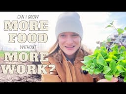 Spring Planting + Easy Dinner