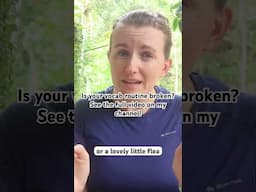 This weeks new video: 9 signs your vocab routine isn’t working. Watch in full on my channel now!