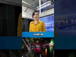 Resumen de las noticias del día, los detalles en Noticiero Hechos