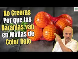 🍊🔴 ¡ALUCINARÁS! 🤯 ¡NO CREERÁS POR QUÉ las NARANJAS se VENDEN en MALLAS de Color ROJO! 🍎🛒 E