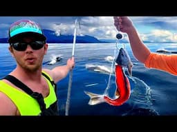 Where to go Deep Sea Alaska Fishing for Huge Halibut