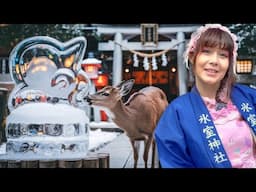 Japan's Secret ICE Festival Unveiled!