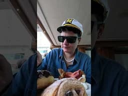 Breakfast on a cruise: I ate so much I might need a nap before lunch. 🍳🌊