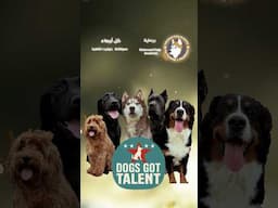 فيه ناس لسه بتقولك هاتلي ورد!🌹🐩‏‎