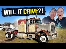 Will it DRIVE? Our 1984 359 Peterbilt REVIVAL!