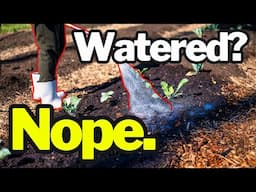 The #1 Watering Mistake Every Gardener Makes!