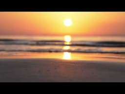 Stacy Kidd feat.Steve Brown - Love What You Do (Main Mix)