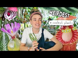 CRAZIEST Amazing Plants Right Now 🌿 Top Weird Houseplants Part 5