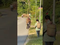 Suku dayak bakati pulang dari ladang