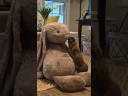 Unboxing my baby’s GIANT rabbit jellycat