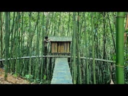 Build a shelter, handmade, on top of a bamboo tree - Tropical Forest