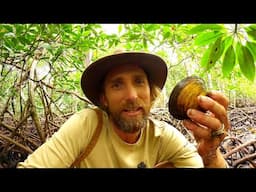 Hunting Mangroves and Making weapons with Islanders | Torres Strait Islands