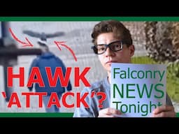 The Great Man Hating Hawk of Hertfordshire