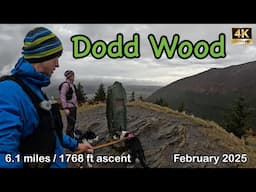 Dodd Wood | Lake District | 4K | February 2025