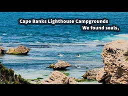 Cape Banks Lighthouse Campgrounds, Seals on the beach, Grey Nomads Caravanning Australia, EP - 164