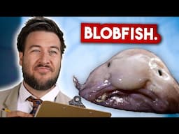 How Ocean Creatures Got Their Names