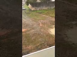 Granizo em Joinville