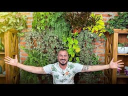 COMO CRIAR UM JARDIM VERTICAL EM QUALQUER PAREDE DA SUA CASA!