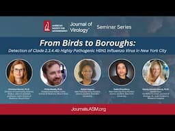 From Birds to Boroughs: Detection of Clade 2.3.4.4b Highly Pathogenic H5N1 Influenza Virus in NYC