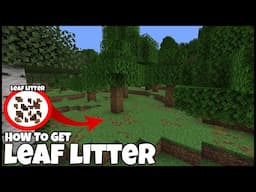 How To Get LEAF LITTER In MINECRAFT