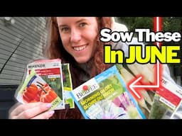 You Must Sow These Seeds in June!