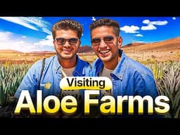 Visiting Forever Aloe Feilds for the First Time!