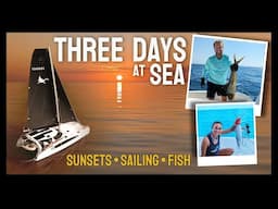 3 Days of Sailing: Open Ocean, Stunning Sunsets, and Fresh Catches!