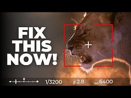 Wildlife Photography MISTAKES Even Pros Still Make!